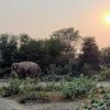 Hazaribag