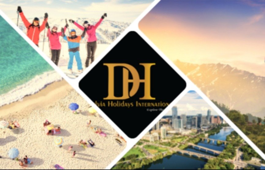 Delvia Holidays International