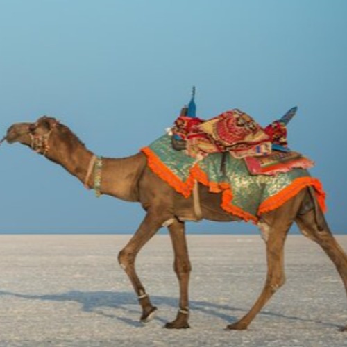 Trypdeals Trip Planner