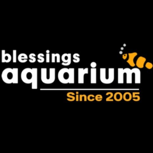Aquarium Shop in Pune | Blessings